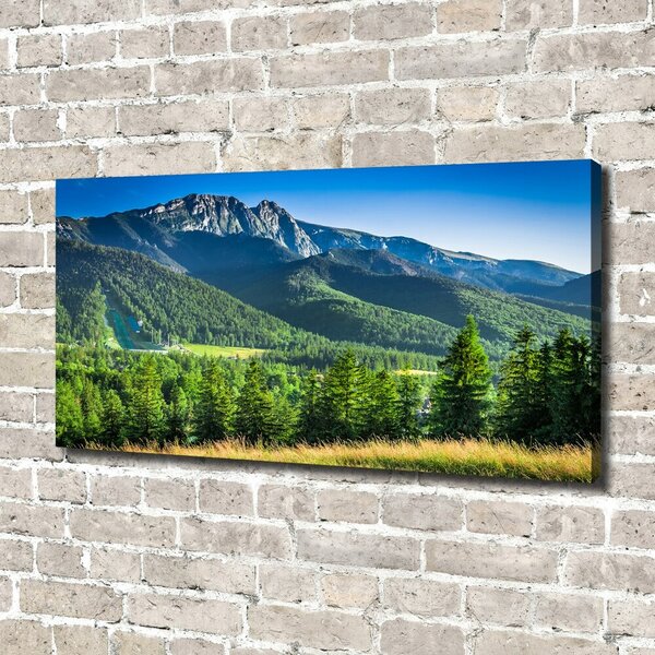 Moderní obraz canvas na rámu Skokanský můstek Tatry oc-91165777