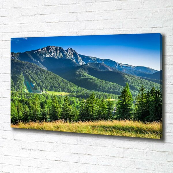 Moderní obraz canvas na rámu Skokanský můstek Tatry oc-91165777