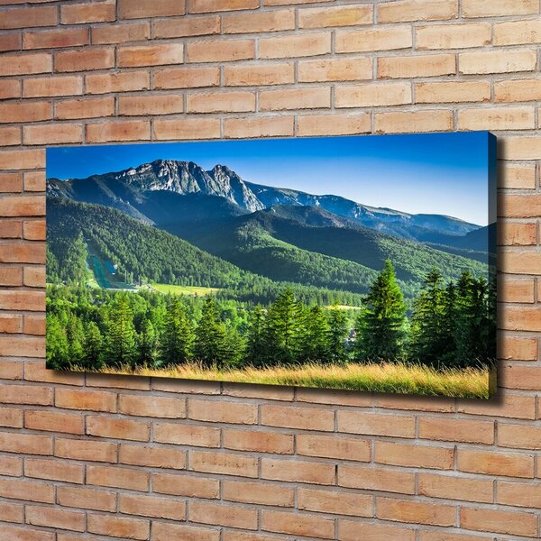 Moderní obraz canvas na rámu Skokanský můstek Tatry oc-91165777