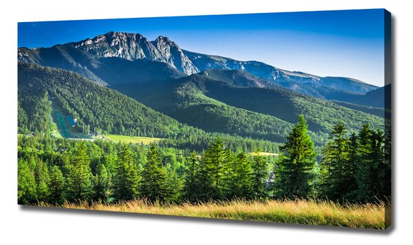 Moderní obraz canvas na rámu Skokanský můstek Tatry oc-91165777