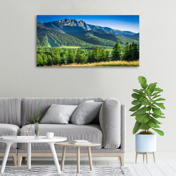 Moderní obraz canvas na rámu Skokanský můstek Tatry oc-91165777