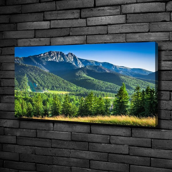 Moderní obraz canvas na rámu Skokanský můstek Tatry oc-91165777