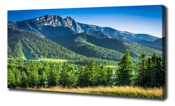 Moderní obraz canvas na rámu Skokanský můstek Tatry oc-91165777