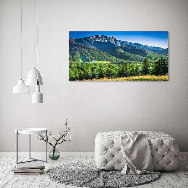Moderní obraz canvas na rámu Skokanský můstek Tatry oc-91165777