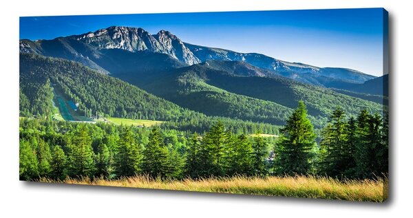 Moderní obraz canvas na rámu Skokanský můstek Tatry oc-91165777