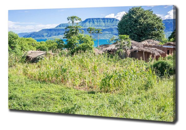 Moderní fotoobraz canvas na rámu Jezero Malavi oc-91343567