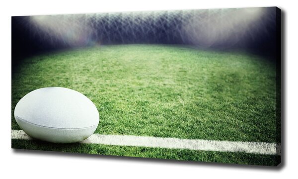 Foto obraz na plátně Míč do rugby oc-91666550