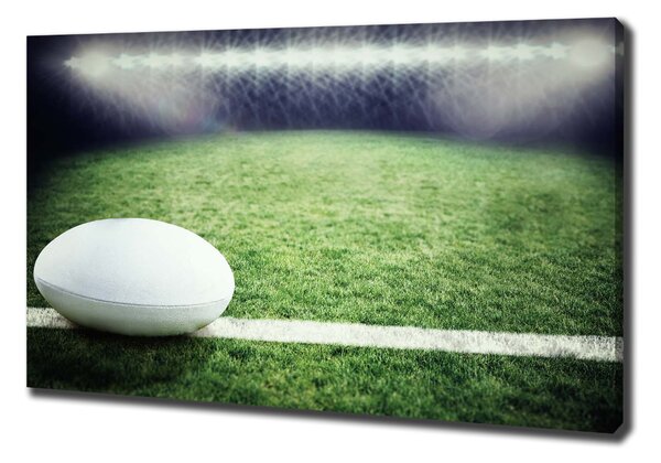 Foto obraz na plátně Míč do rugby oc-91666550