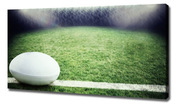 Foto obraz na plátně Míč do rugby oc-91666550