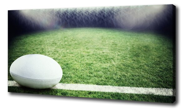 Foto obraz na plátně Míč do rugby oc-91666550