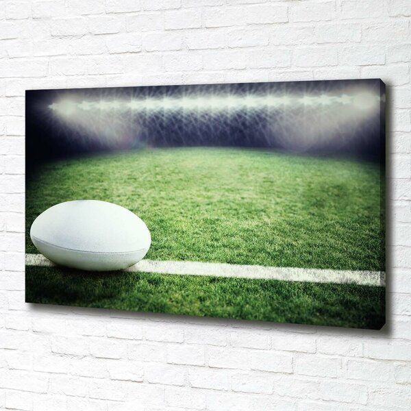 Foto obraz na plátně Míč do rugby oc-91666550