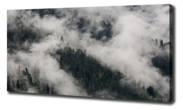 Foto obraz na plátně do obýváku Mlha nad lesem oc-92103415