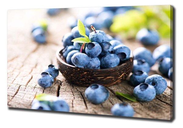 Foto obraz na plátně Borůvky oc-92104776