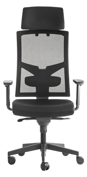 ALBA Ergonomická kancelářská židle BRENDA - černá síťovina / nosnost 150 kg