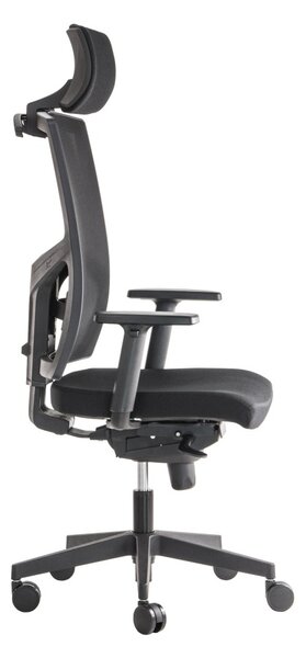 ALBA Ergonomická kancelářská židle BRENDA - černá síťovina / nosnost 150 kg