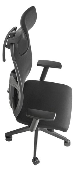 ALBA Ergonomická kancelářská židle BRENDA - černá síťovina / nosnost 150 kg