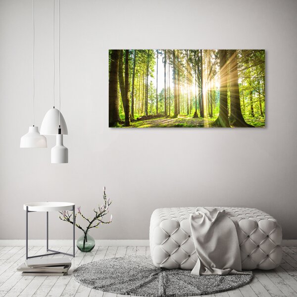 Foto obraz sklo tvrzené Les slunce osh-92474685