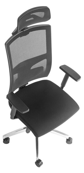 ALBA Ergonomická kancelářská židle DESALUTE - černá síťovina / nosnost 150 kg