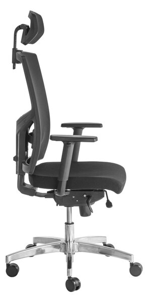 ALBA Ergonomická kancelářská židle DESALUTE - černá síťovina / nosnost 150 kg