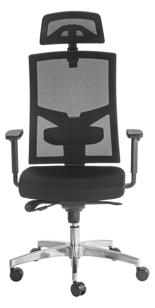 ALBA Ergonomická kancelářská židle DESALUTE - černá síťovina / nosnost 150 kg