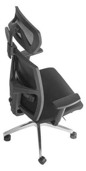 ALBA Ergonomická kancelářská židle DESALUTE - černá síťovina / nosnost 150 kg