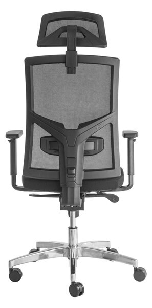 ALBA Ergonomická kancelářská židle DESALUTE - černá síťovina / nosnost 150 kg