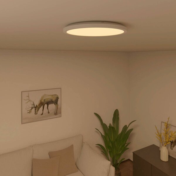 Calex Stropní svítidlo Smart Halo LED, Ø 29,2 cm, stmívatelný, Bílá / opál, Obývací pokoj / jídelna, Plast, Moderní