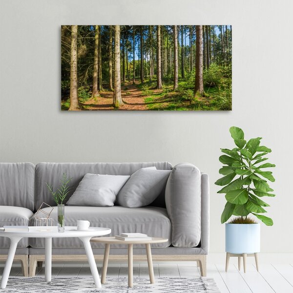 Foto obraz na plátně Lesní panorama oc-93946389