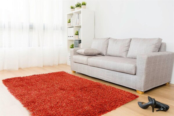 KOBEREC S VYSOKÝM VLASEM, 120/180 cm oranžová Kayoom - Online Only koberce & rohožky, Online Only