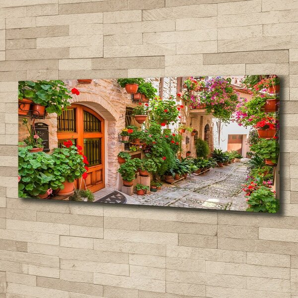 Foto obraz canvas Okouzlující ulička oc-93996626