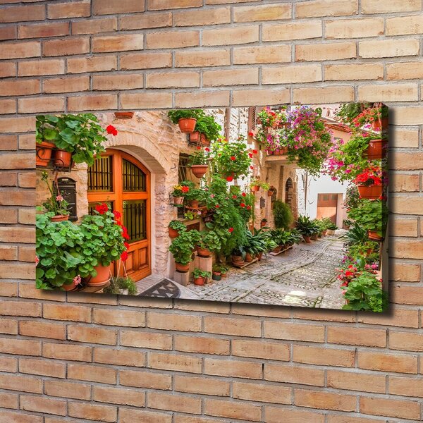 Foto obraz canvas Okouzlující ulička oc-93996626