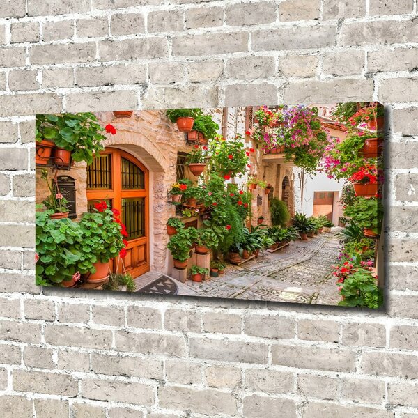 Foto obraz canvas Okouzlující ulička oc-93996626