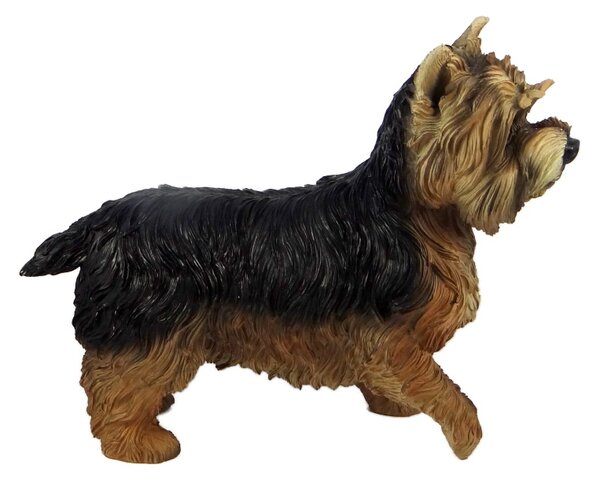 Yorkšírský teriér (Yorkshire) – realistická soška psa 30,5 cm