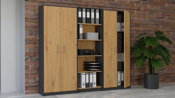 TP Living Knihovna OLIV 2D antracit/dub artisan