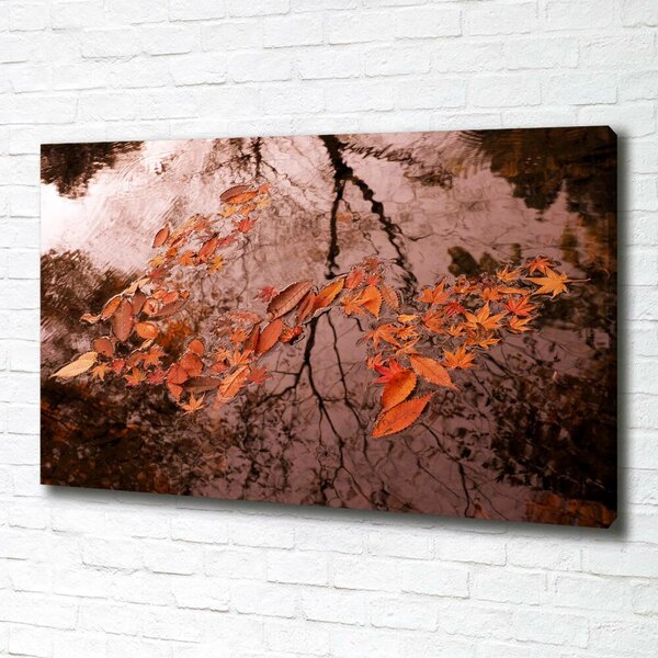 Moderní fotoobraz canvas na rámu Listí na vodě oc-94898362