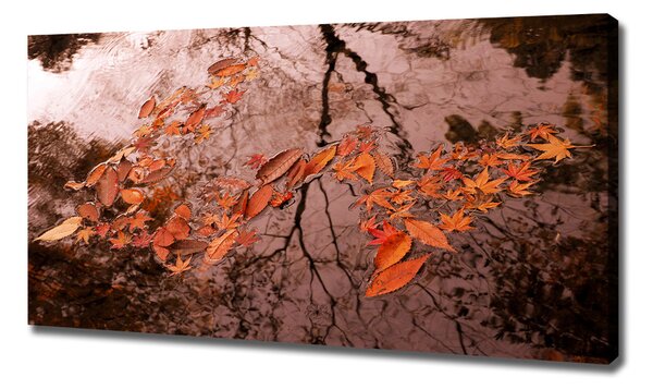 Moderní fotoobraz canvas na rámu Listí na vodě oc-94898362