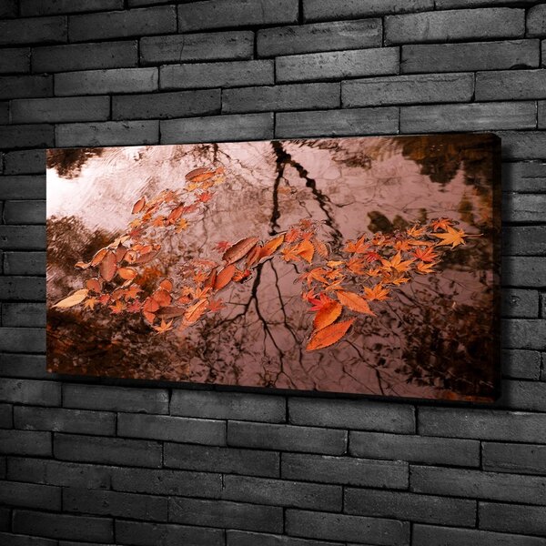 Moderní fotoobraz canvas na rámu Listí na vodě oc-94898362