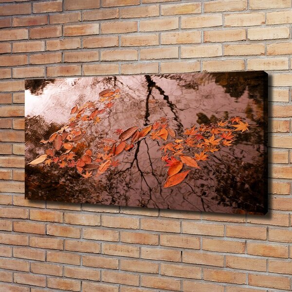 Moderní fotoobraz canvas na rámu Listí na vodě oc-94898362