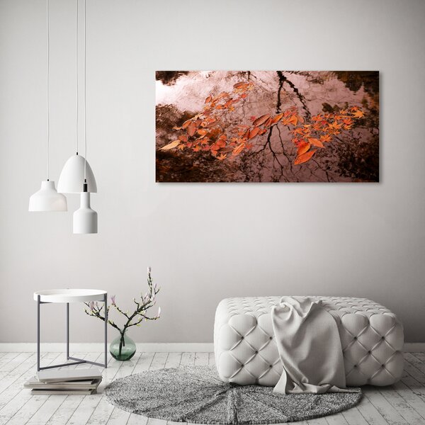 Moderní fotoobraz canvas na rámu Listí na vodě oc-94898362