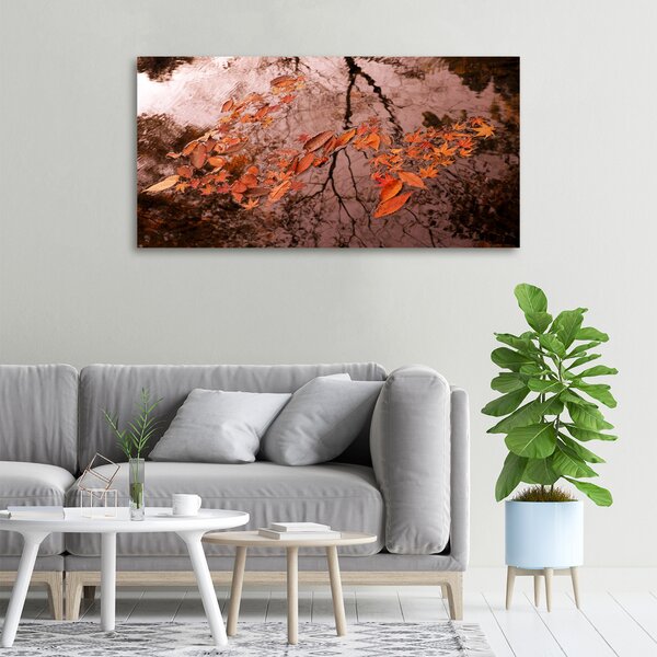 Moderní fotoobraz canvas na rámu Listí na vodě oc-94898362
