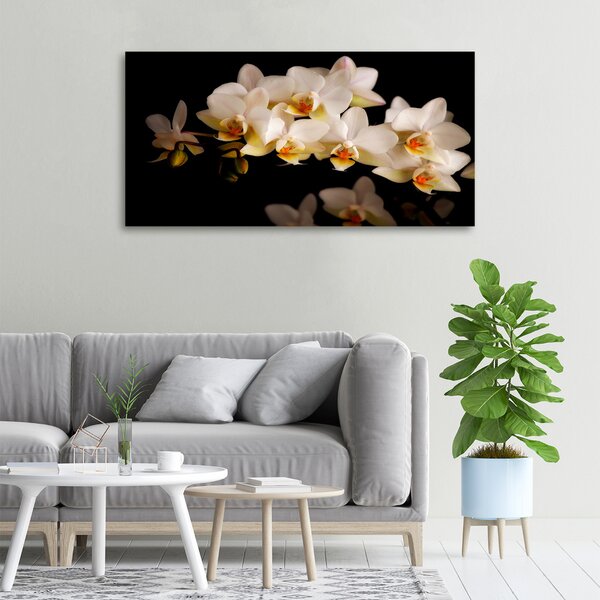 Foto obraz na plátně Orchidej oc-95410450