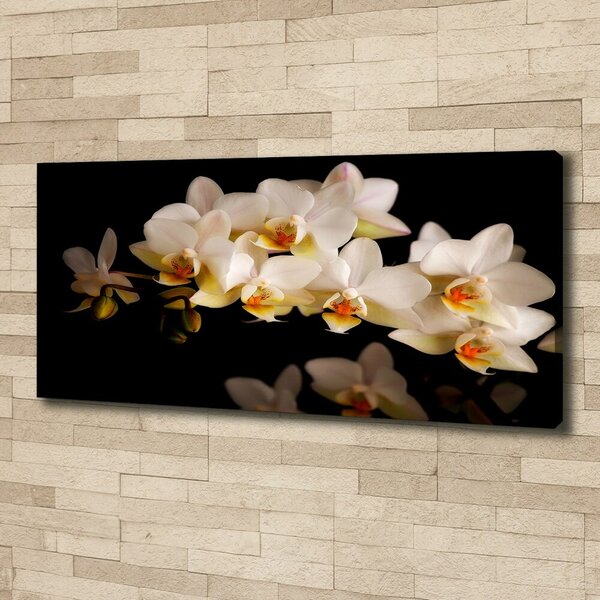 Foto obraz na plátně Orchidej oc-95410450