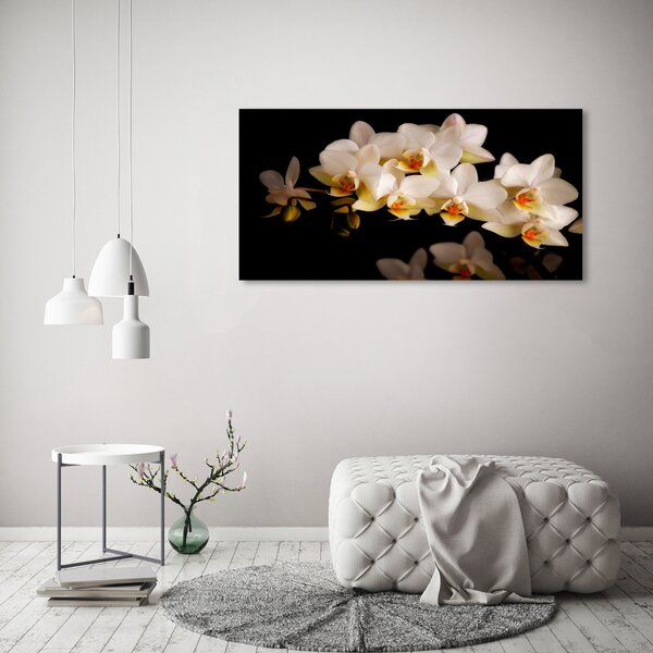 Fotoobraz na skle Orchidej osh-95410450