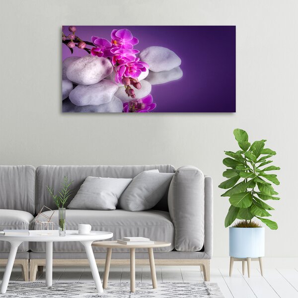 Foto obraz na plátně do obýváku Orchidej oc-95985496