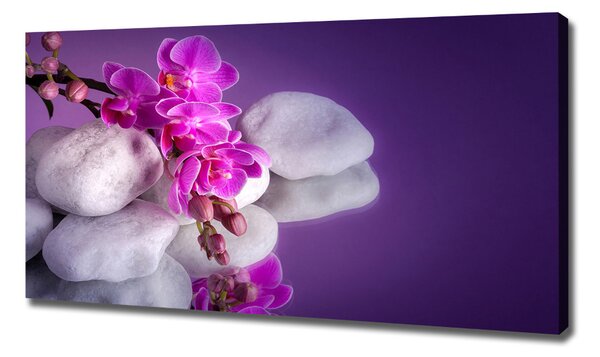 Foto obraz na plátně do obýváku Orchidej oc-95985496