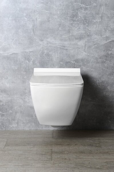 Isvea - Záchodové prkénko SoftClose PURITY bílá