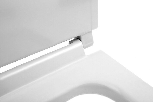 Isvea - Záchodové prkénko SoftClose PURITY bílá