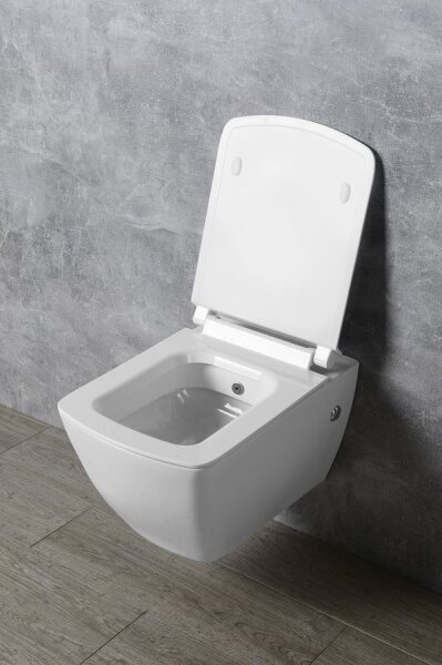 Isvea - Záchodové prkénko SoftClose PURITY bílá