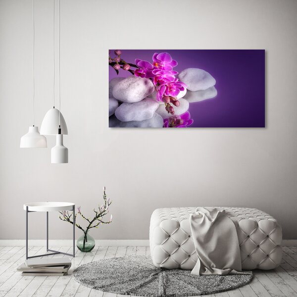 Foto obraz na plátně do obýváku Orchidej oc-95985496