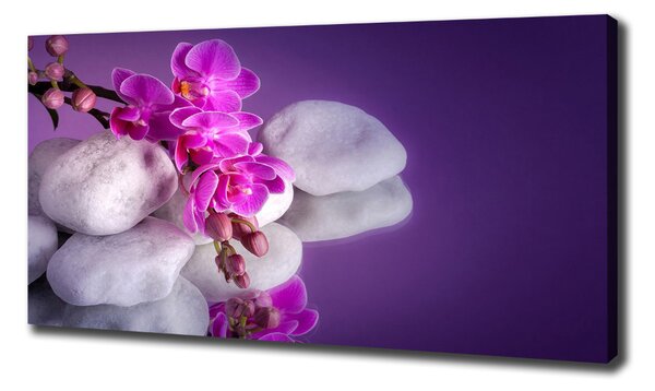 Foto obraz na plátně do obýváku Orchidej oc-95985496